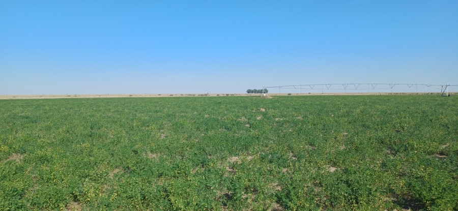 3 Bedroom Property for Sale in Klerksdorp Rural North West